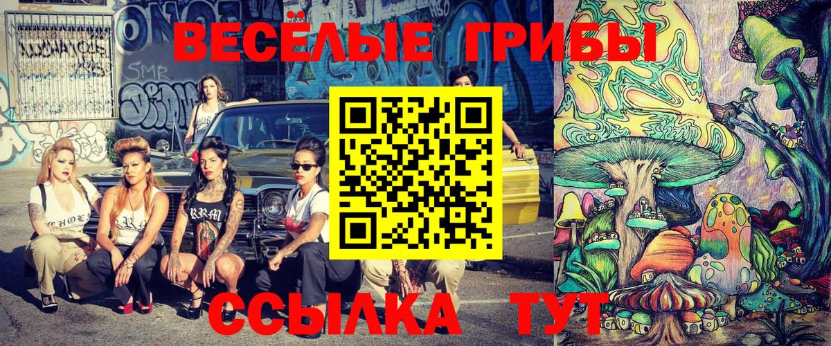 Псилоцибиновые грибы Psilocybe  Вход с VPN  Курчатов 